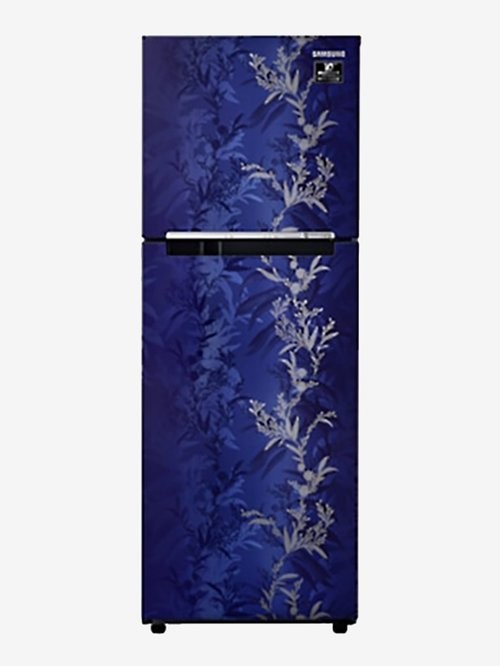 Samsung Refrigerator Price in nepal 253 Liters Double Door
